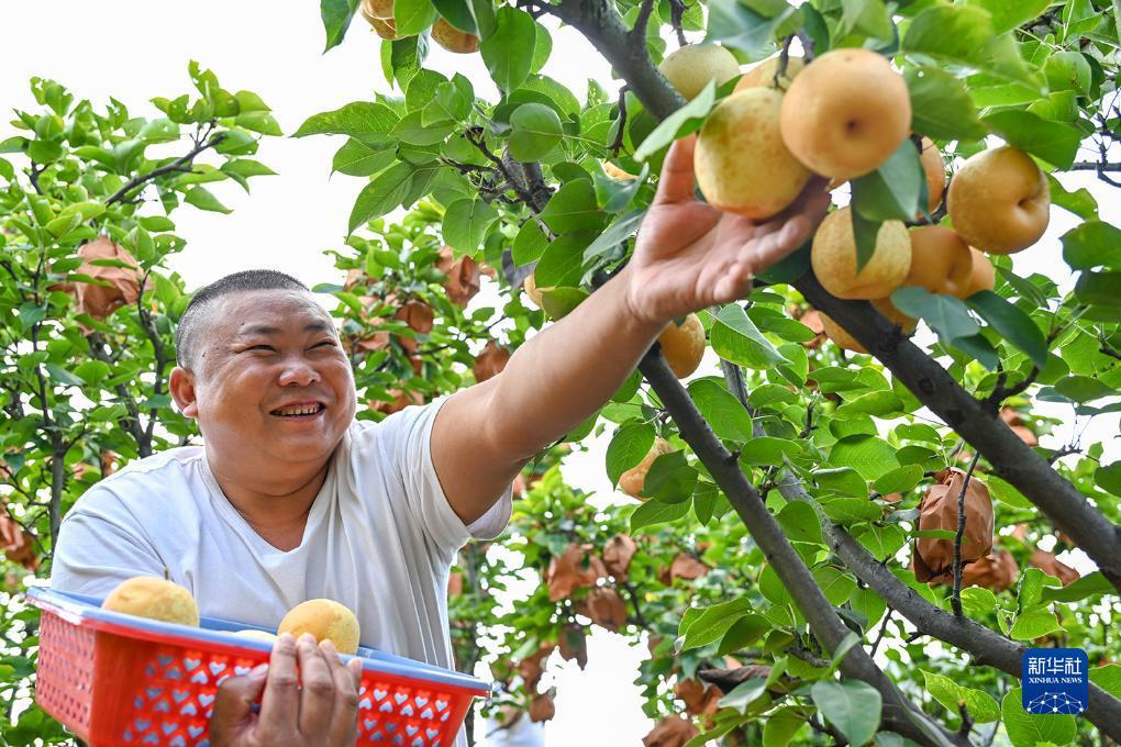 威尼斯平台充值金币
